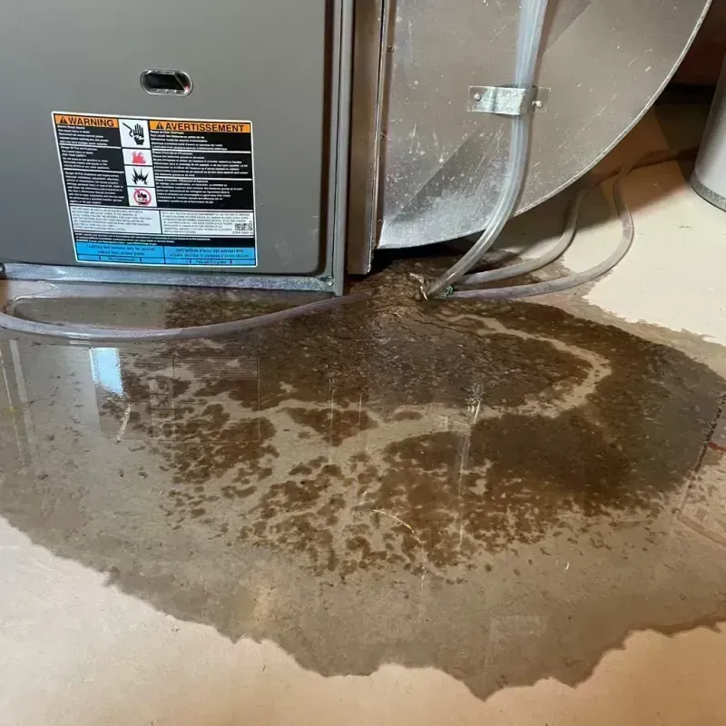 Appliance Leak Cleanup in Cass County, ND